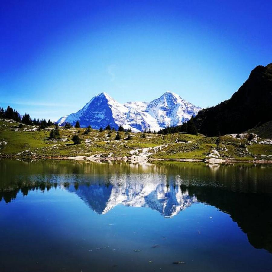 Swisshut Stunning Views Alps Lake - Chalet Erli Därligen Esterno foto
