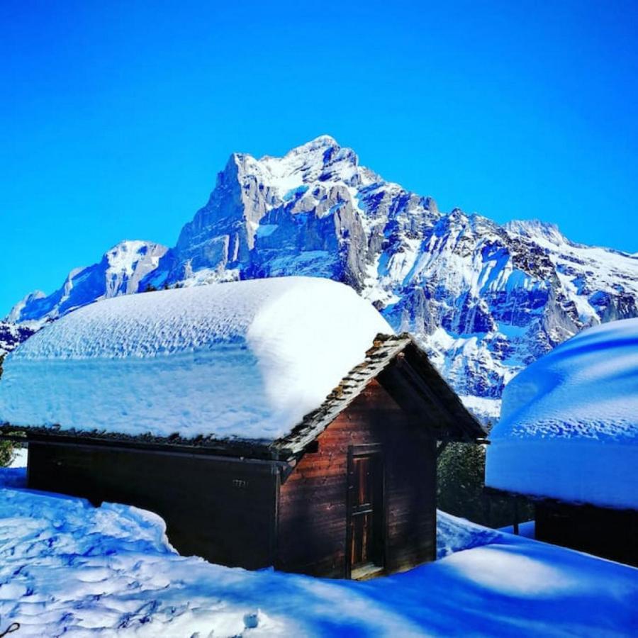 Swisshut Stunning Views Alps Lake - Chalet Erli Därligen Esterno foto