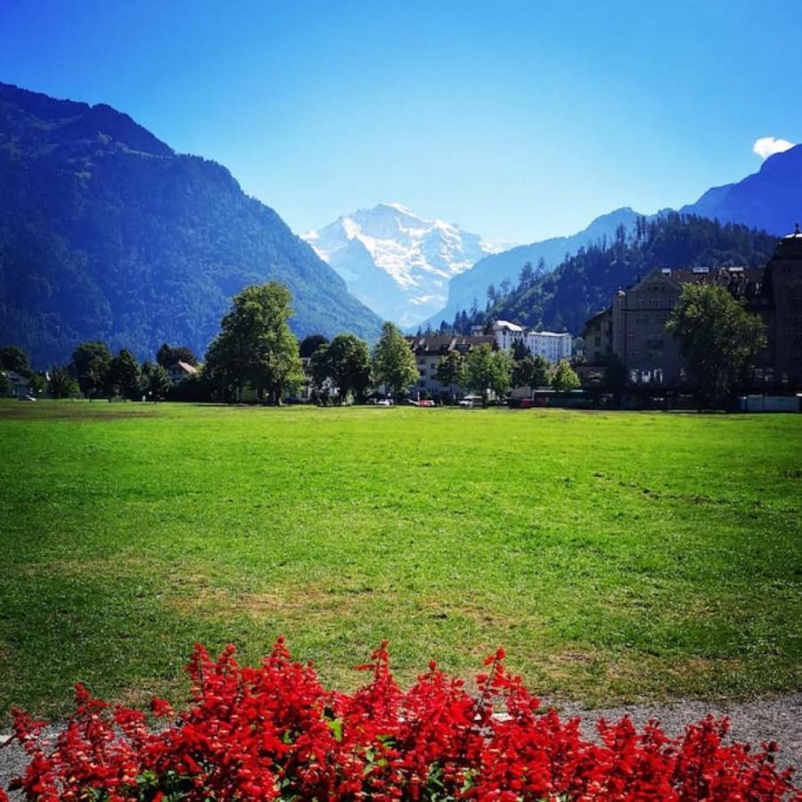 Swisshut Stunning Views Alps Lake - Chalet Erli Därligen Esterno foto